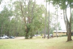 OLYMPUS DIGITAL CAMERA